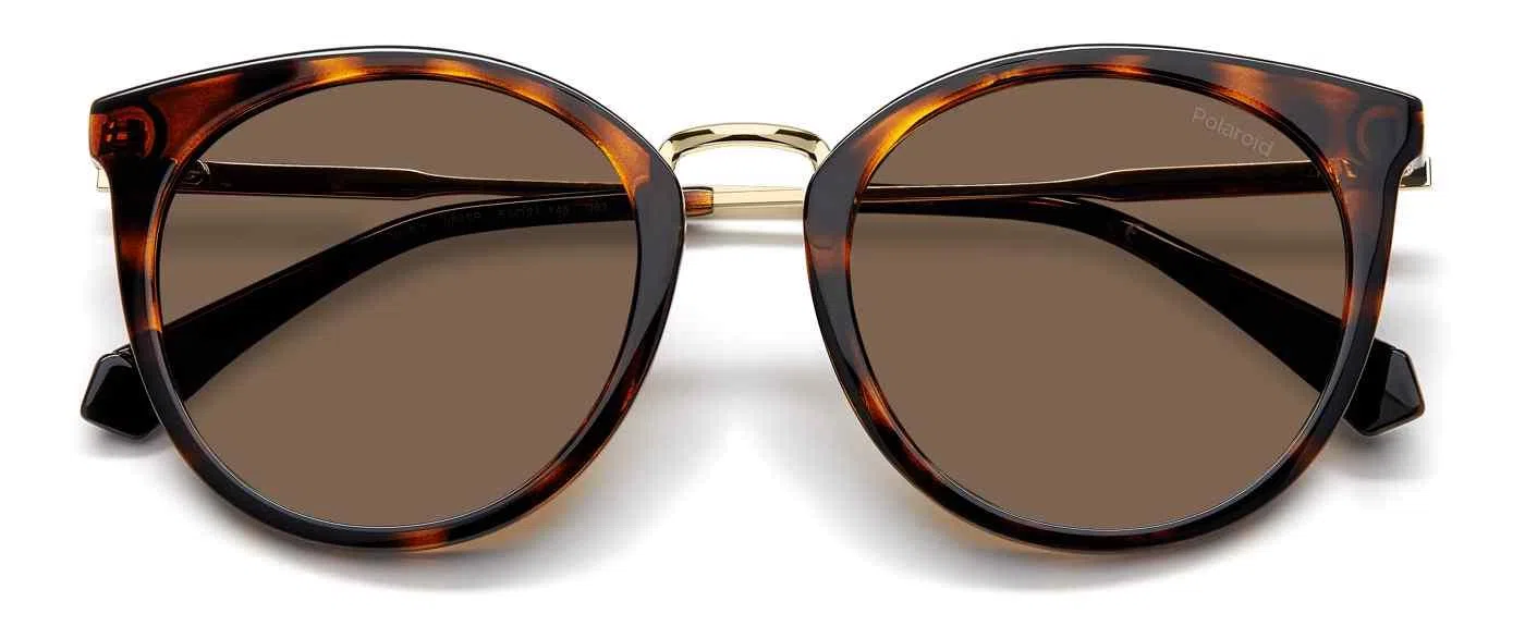 Polaroid Core PLD4146 Eyeglasses - view 9